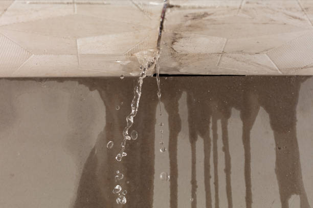 Professional Water Damage Inspection technician working in McGregor, TX